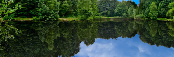 large lake maintenance