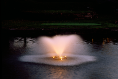 lLloydnight13x16300