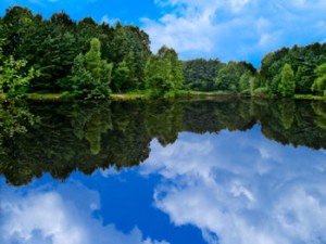 Pond and Lake Management Services